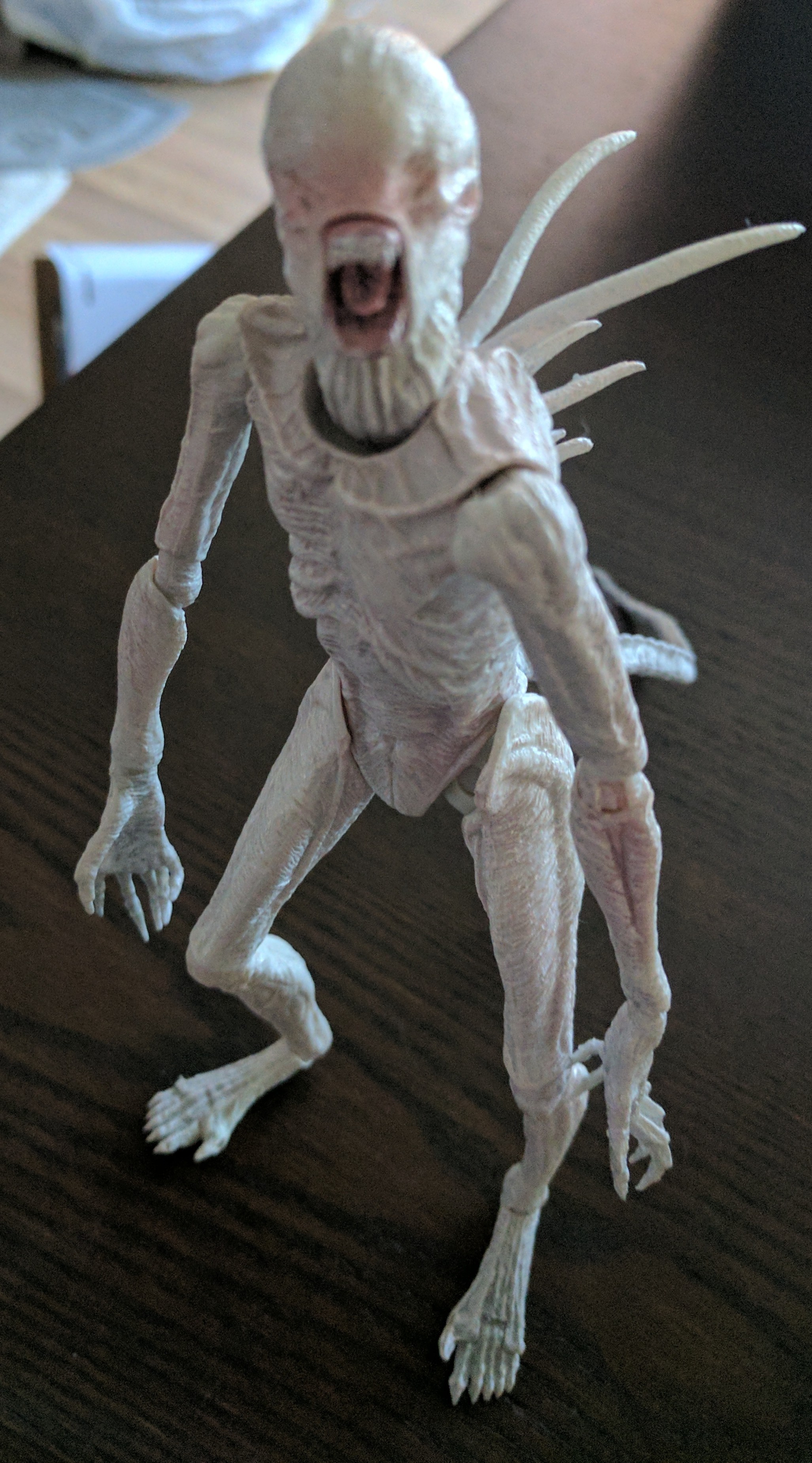 IMG_20170717_190906 (1)